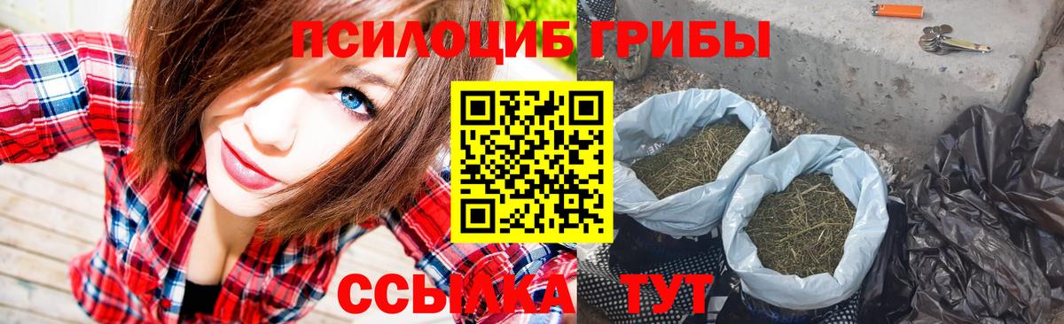 Псилоцибиновые грибы Psilocybe  Псилоцибиновые грибы GOLDEN TEACHER  Вход с VPN  Калининград 